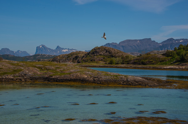 Selsyvik, lgvatten, Helgelandskusten