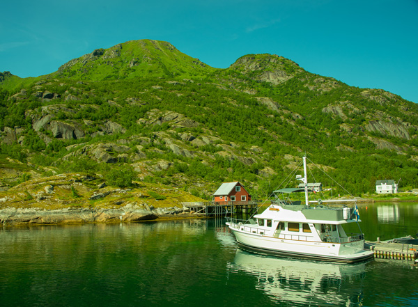 Ulvgen p n Store Molla, Lofoten