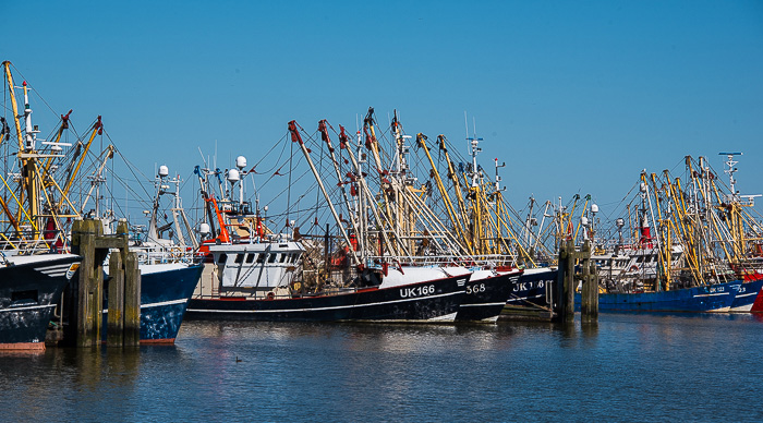 Delar av Lauwersoogs stolta fiskeflotta