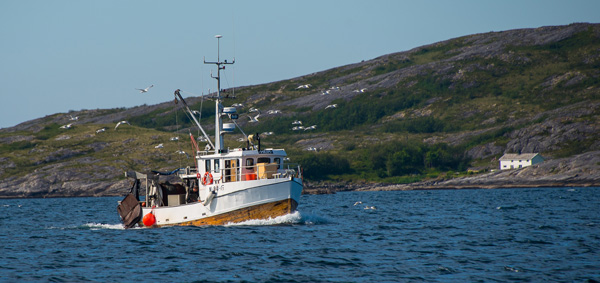 Vardaglig miljbild i Nordland