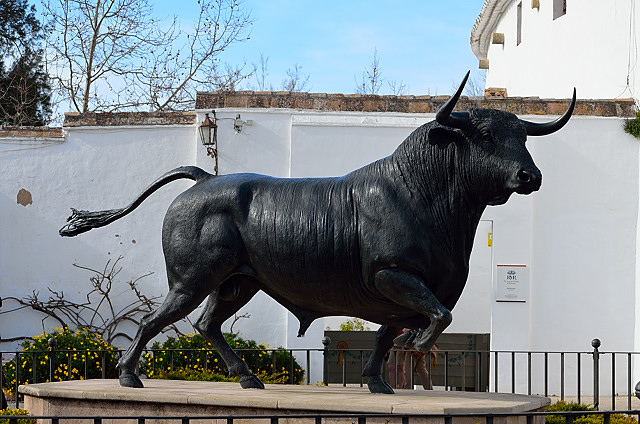 Tjur, Plaza de Toros, Ronda.