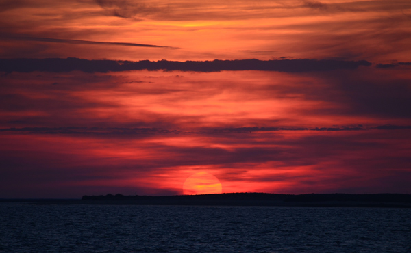 Solnedgng, Ria Formosa.